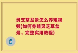 灵芝草盆景怎么养殖视频(如何养殖灵芝草盆景，完整实用教程)