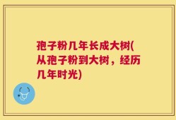 孢子粉几年长成大树(从孢子粉到大树，经历几年时光)