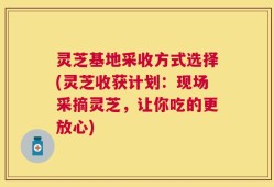 灵芝基地采收方式选择(灵芝收获计划：现场采摘灵芝，让你吃的更放心)