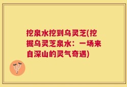 挖泉水挖到乌灵芝(挖掘乌灵芝泉水：一场来自深山的灵气奇遇)