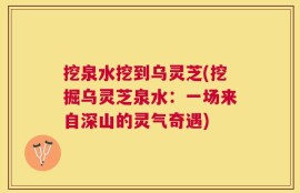 挖泉水挖到乌灵芝(挖掘乌灵芝泉水：一场来自深山的灵气奇遇)