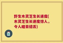 野生木灵芝生长速度(木灵芝生长速度惊人，令人瞠目结舌)