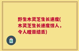 野生木灵芝生长速度(木灵芝生长速度惊人，令人瞠目结舌)