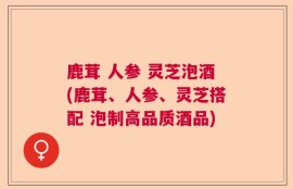 鹿茸 人参 灵芝泡酒(鹿茸、人参、灵芝搭配 泡制高品质酒品)