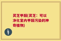 灵芝甲醛(灵芝：可以净化室内甲醛污染的神奇植物)