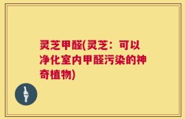灵芝甲醛(灵芝：可以净化室内甲醛污染的神奇植物)