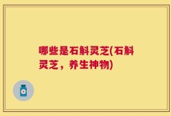 哪些是石斛灵芝(石斛灵芝，养生神物)
