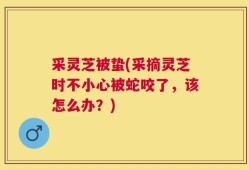采灵芝被蛰(采摘灵芝时不小心被蛇咬了，该怎么办？)