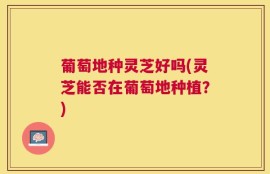 葡萄地种灵芝好吗(灵芝能否在葡萄地种植？)