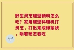 野生灵芝破壁精粉怎么吃？家用破壁料理机打灵芝，打出来成棉絮状，嚼着硬怎吞吃