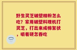 野生灵芝破壁精粉怎么吃？家用破壁料理机打灵芝，打出来成棉絮状，嚼着硬怎吞吃