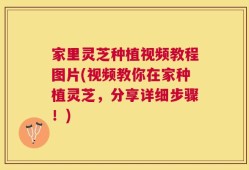 家里灵芝种植视频教程图片(视频教你在家种植灵芝，分享详细步骤！)
