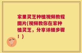 家里灵芝种植视频教程图片(视频教你在家种植灵芝，分享详细步骤！)