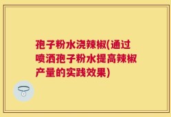 孢子粉水浇辣椒(通过喷洒孢子粉水提高辣椒产量的实践效果)