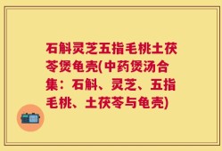 石斛灵芝五指毛桃土茯苓煲龟壳(中药煲汤合集：石斛、灵芝、五指毛桃、土茯苓与龟壳)