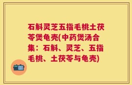 石斛灵芝五指毛桃土茯苓煲龟壳(中药煲汤合集：石斛、灵芝、五指毛桃、土茯苓与龟壳)
