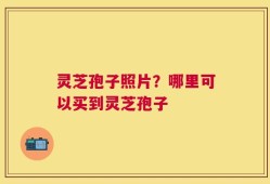 灵芝孢子照片？哪里可以买到灵芝孢子