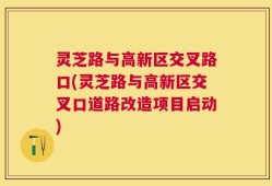 灵芝路与高新区交叉路口(灵芝路与高新区交叉口道路改造项目启动)