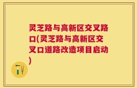 灵芝路与高新区交叉路口(灵芝路与高新区交叉口道路改造项目启动)