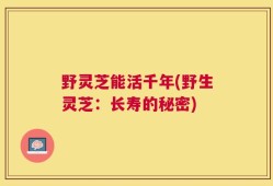 野灵芝能活千年(野生灵芝：长寿的秘密)