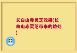 长白山赤灵芝效果(长白山赤灵芝带来的益处)