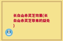长白山赤灵芝效果(长白山赤灵芝带来的益处)