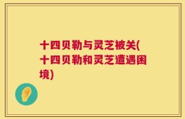 十四贝勒与灵芝被关(十四贝勒和灵芝遭遇困境)