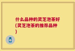 什么品种的灵芝泡茶好(灵芝泡茶的推荐品种)