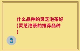什么品种的灵芝泡茶好(灵芝泡茶的推荐品种)