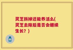 灵芝拆掉还能养活么(灵芝去除后是否会继续生长？)