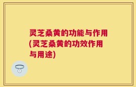 灵芝桑黄的功能与作用(灵芝桑黄的功效作用与用途)