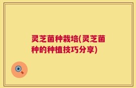 灵芝菌种栽培(灵芝菌种的种植技巧分享)