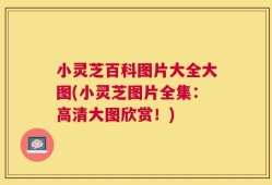 小灵芝百科图片大全大图(小灵芝图片全集：高清大图欣赏！)