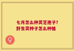 七月怎么种灵芝孢子？野生灵种子怎么种植