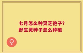 七月怎么种灵芝孢子？野生灵种子怎么种植