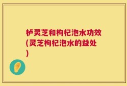 栌灵芝和枸杞泡水功效(灵芝枸杞泡水的益处)