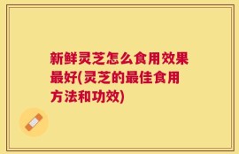 新鲜灵芝怎么食用效果最好(灵芝的最佳食用方法和功效)