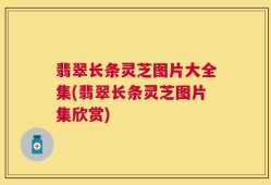 翡翠长条灵芝图片大全集(翡翠长条灵芝图片集欣赏)