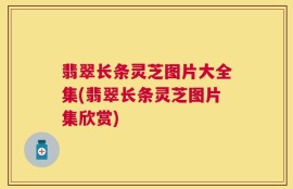 翡翠长条灵芝图片大全集(翡翠长条灵芝图片集欣赏)
