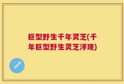 巨型野生千年灵芝(千年巨型野生灵芝浮现)