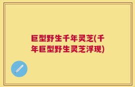 巨型野生千年灵芝(千年巨型野生灵芝浮现)