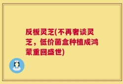 反板灵芝(不再奢谈灵芝，低价菌盒种植成鸿蒙重回盛世)