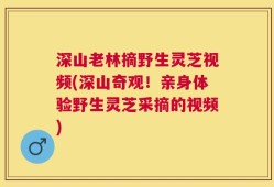 深山老林摘野生灵芝视频(深山奇观！亲身体验野生灵芝采摘的视频)