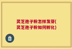灵芝孢子粉怎样发芽(灵芝孢子粉如何孵化)