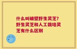 什么叫破壁野生灵芝？野生灵芝和人工栽培灵芝有什么区别