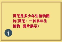 灵芝是多少年生植物图片(灵芝：一种多年生植物  图片展示)