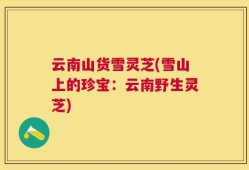 云南山货雪灵芝(雪山上的珍宝：云南野生灵芝)