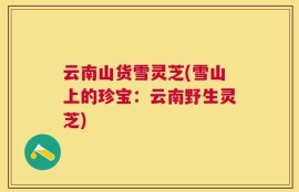 云南山货雪灵芝(雪山上的珍宝：云南野生灵芝)