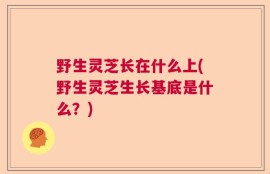 野生灵芝长在什么上(野生灵芝生长基底是什么？)