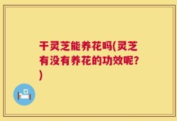 干灵芝能养花吗(灵芝有没有养花的功效呢？)